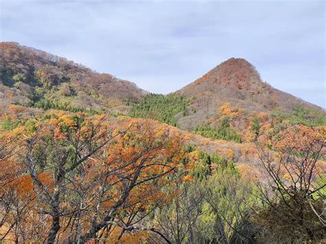 撫倉山|撫倉山(七ツ森)